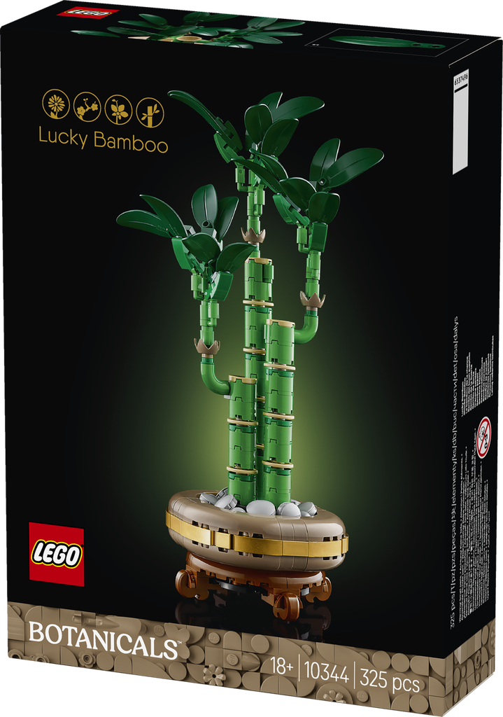 10344  Lucky Bamboo