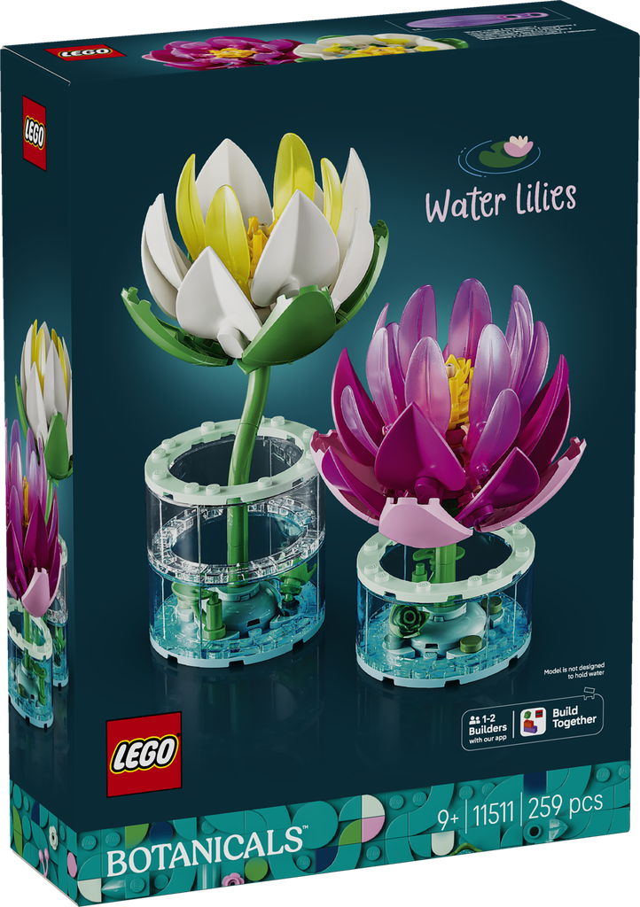 11511  Water Lilies
