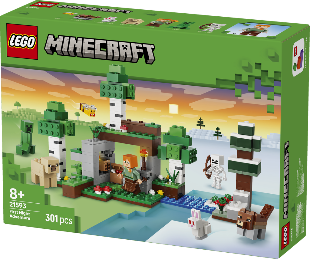 21593 First Night Adventure