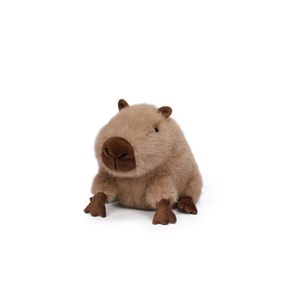 Peaceful Capybara