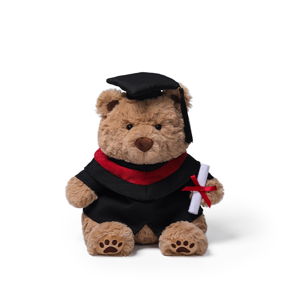 Graduation Raffles Bear