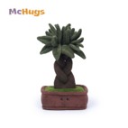 Braided Money Tree