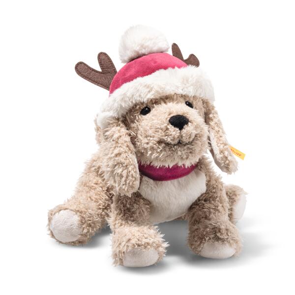 Rudy Dog Christmas 27